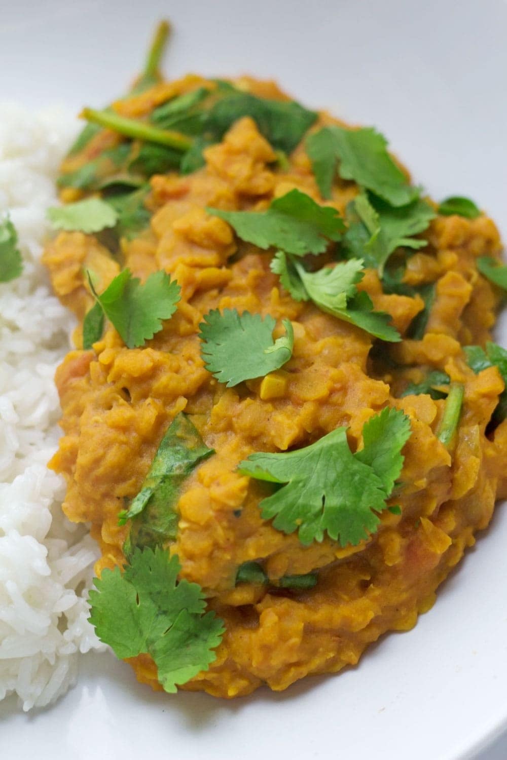 This red lentil dal is perfect when you're craving that curry flavour but you want something quick and healthy. Serve with yoghurt and mango chutney. 