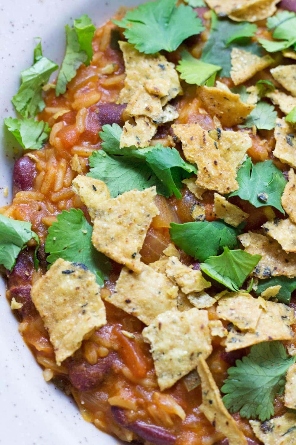 Cheesy Mexican Rice and Vegetable Tortilla Stew • The Cook Report