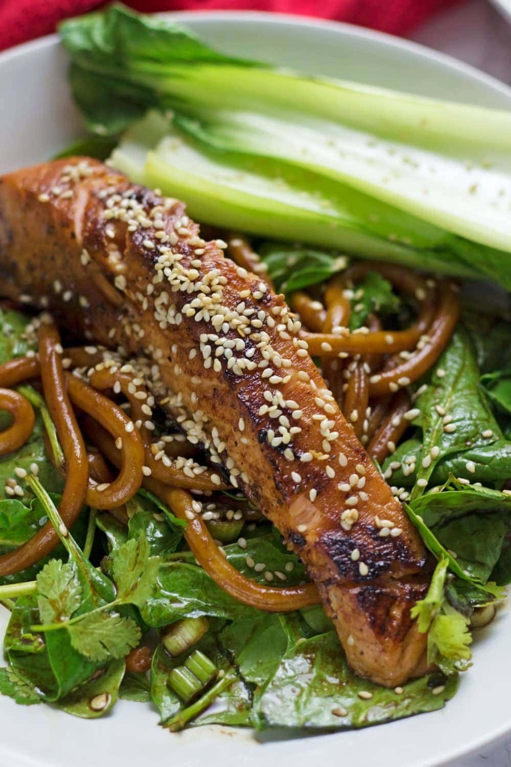 Teriyaki Salmon with Udon Noodles • The Cook Report