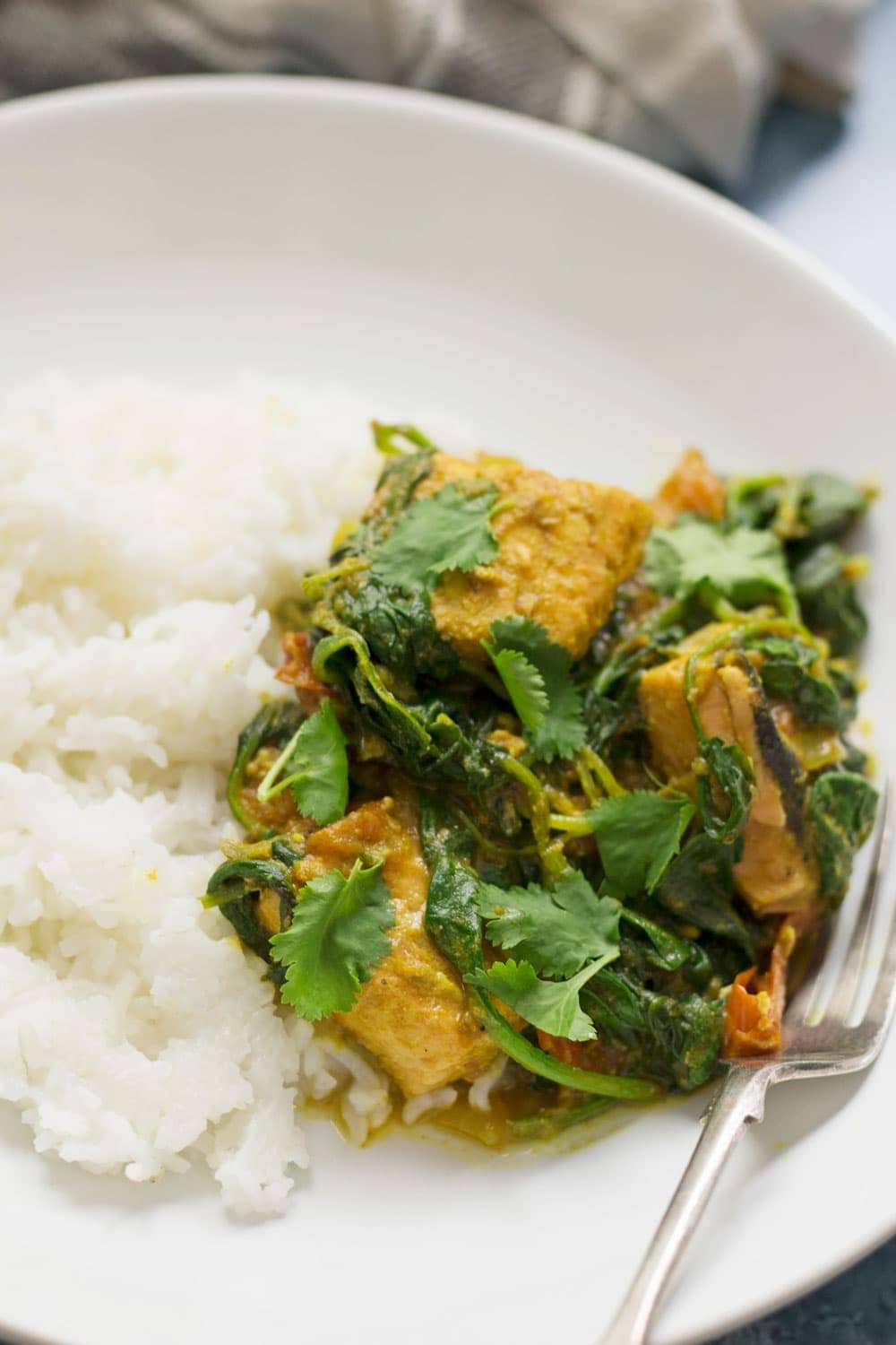 Portion of salmon curry in a white bowl with rice