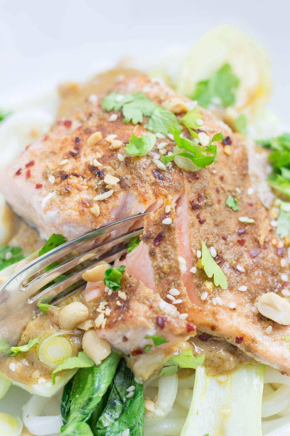 Peanut Salmon Udon Noodles with Pak Choi. The sauce on this peanut salmon is to die for! Perfectly flaky salmon sits on top of udon noodles and wilted pak choi with a creamy peanut sauce. #salmon #udonnoodles #recipe #dinner