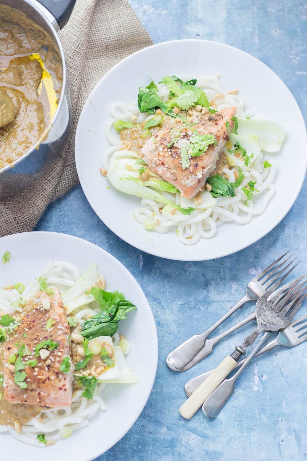 Peanut Salmon Udon Noodles with Pak Choi. The sauce on this peanut salmon is to die for! Perfectly flaky salmon sits on top of udon noodles and wilted pak choi with a creamy peanut sauce. #salmon #udonnoodles #recipe #dinner