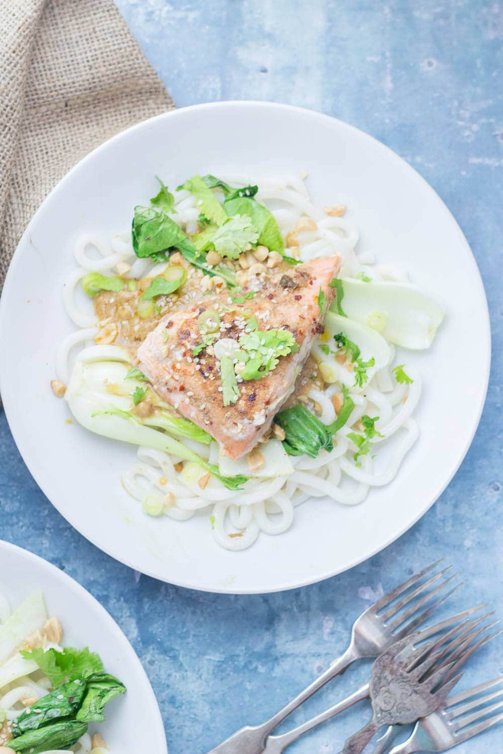 Peanut Salmon Udon Noodles with Pak Choi. The sauce on this peanut salmon is to die for! Perfectly flaky salmon sits on top of udon noodles and wilted pak choi with a creamy peanut sauce. #salmon #udonnoodles #recipe #dinner