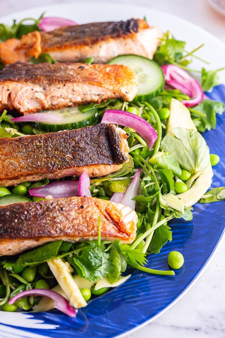 Close up of salmon fillets on a green salad with pickled onions