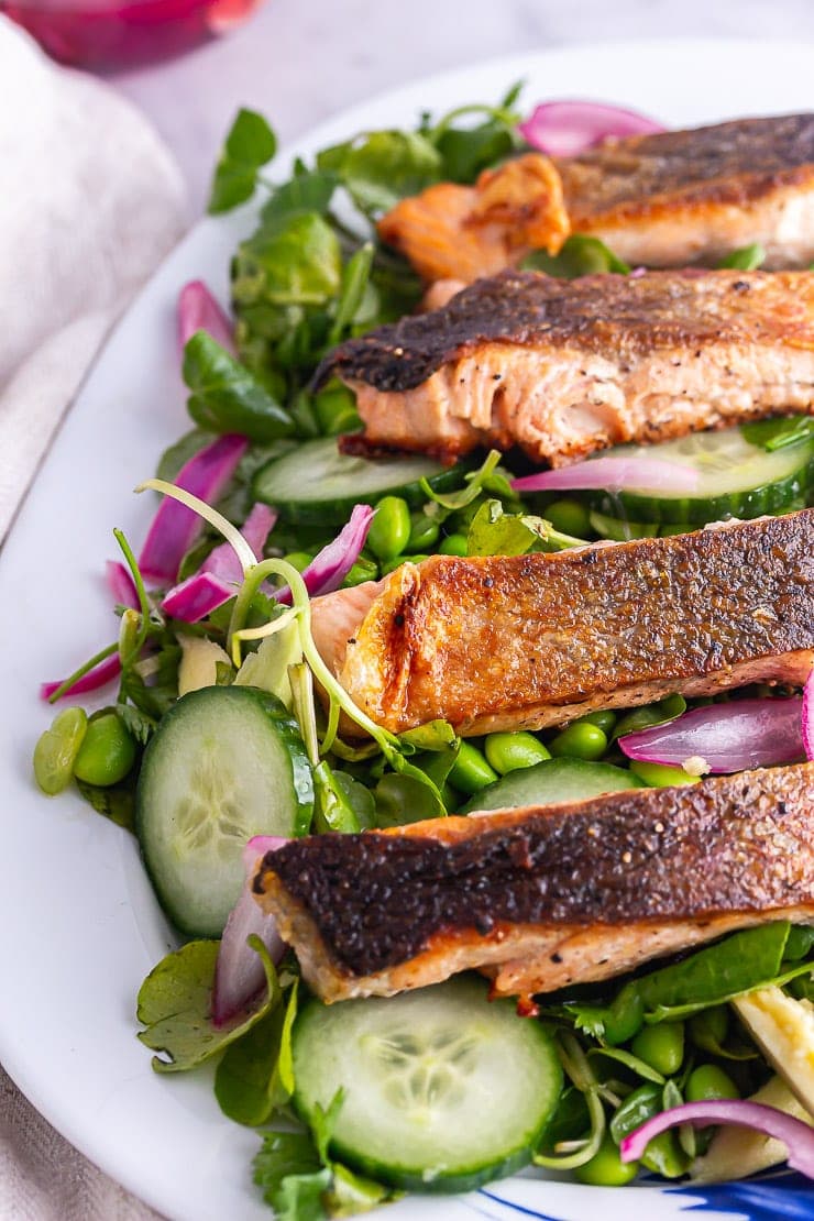 Close up of salmon fillets on a green salad on a platter