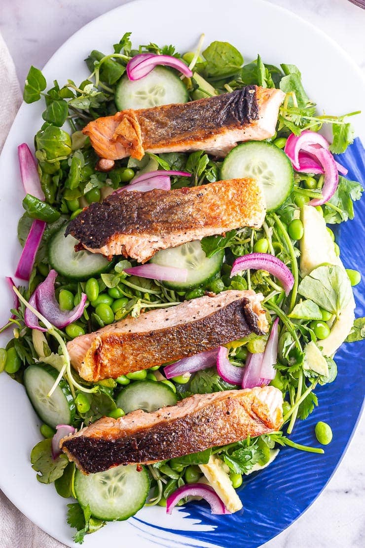 Overhead shot of four salmon fillets on a platter of salad with cucumber and pickled onions