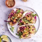 Peanut tofu tacos with cabbage slaw and coriander on a grey platter