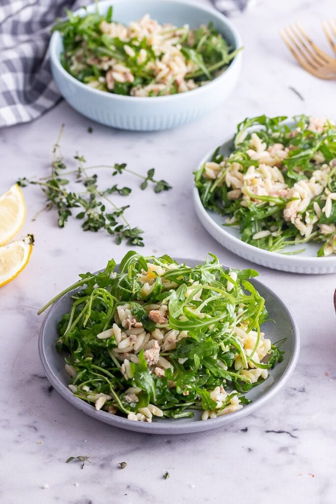 Orzo Pasta Salad with Salmon • The Cook Report