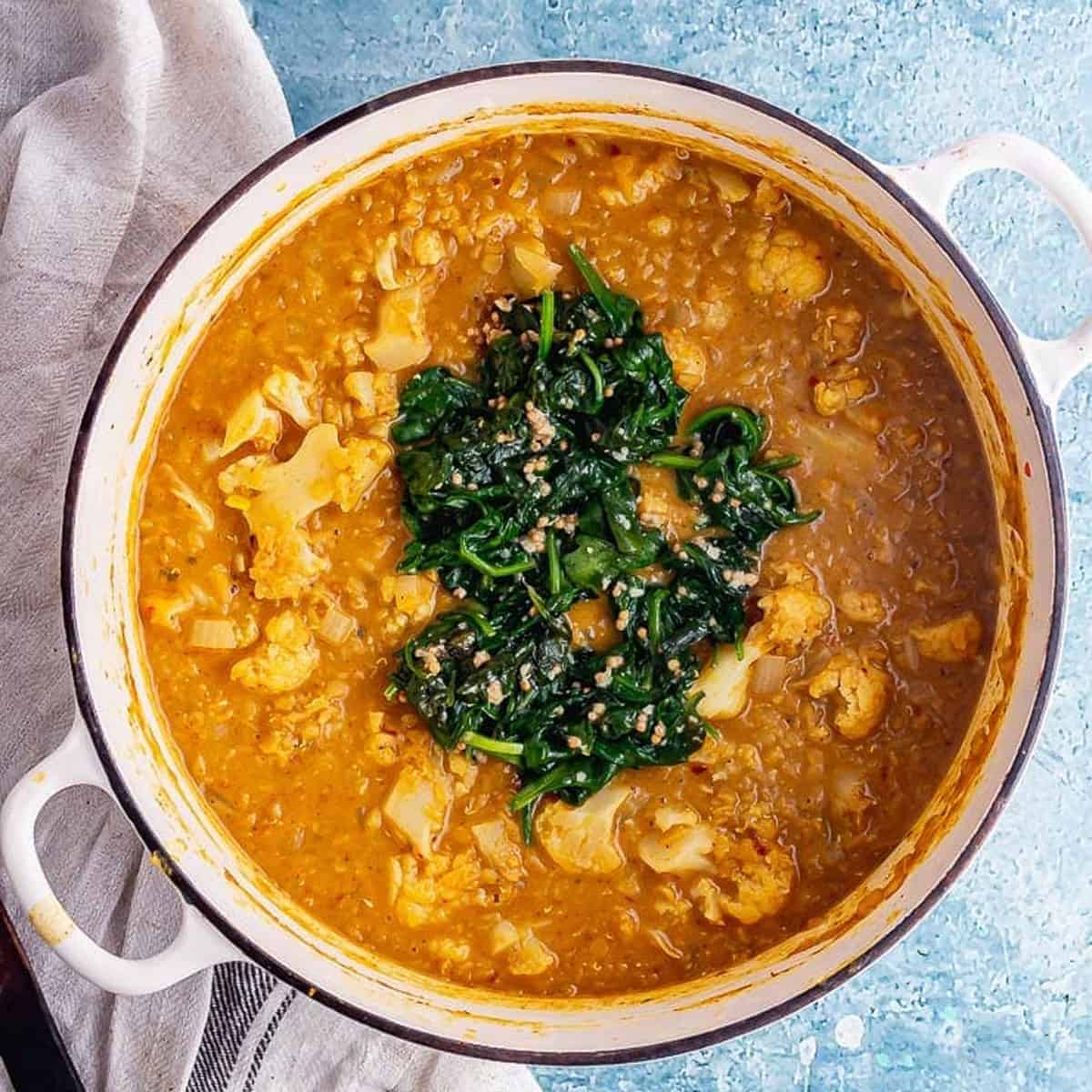 cauliflower-lentil-curry-with-spinach-the-cook-report