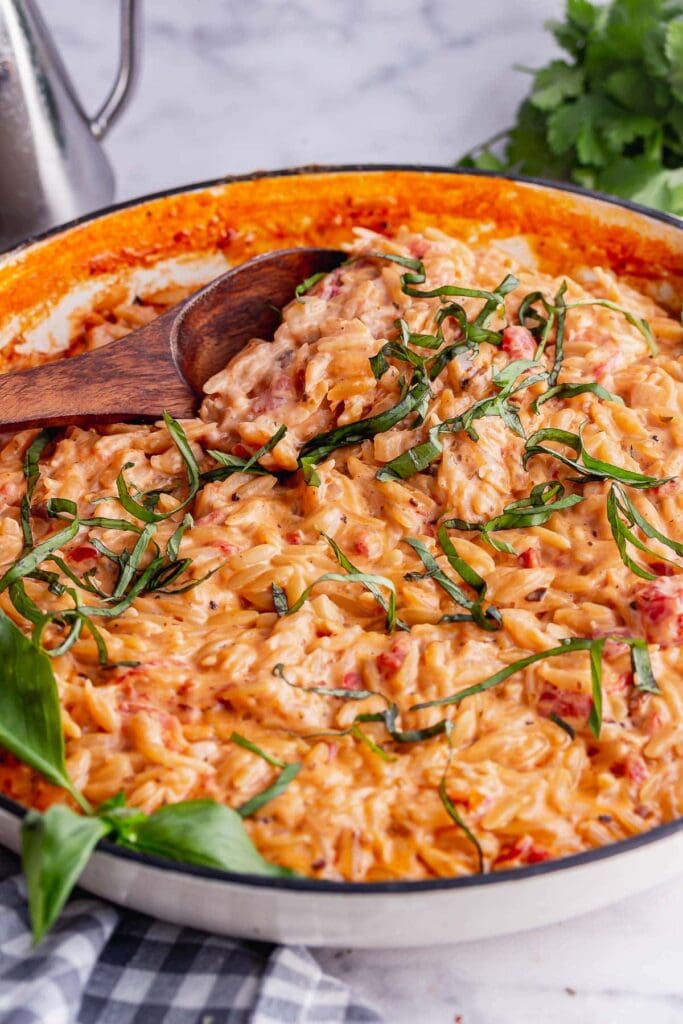 Orzo Risotto with Tomato & Mascarpone • The Cook Report