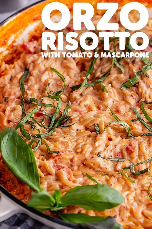 Pinterest image for orzo risotto with text overlay