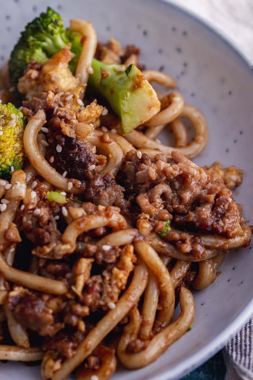 Egg Fried Noodles with Pork • The Cook Report