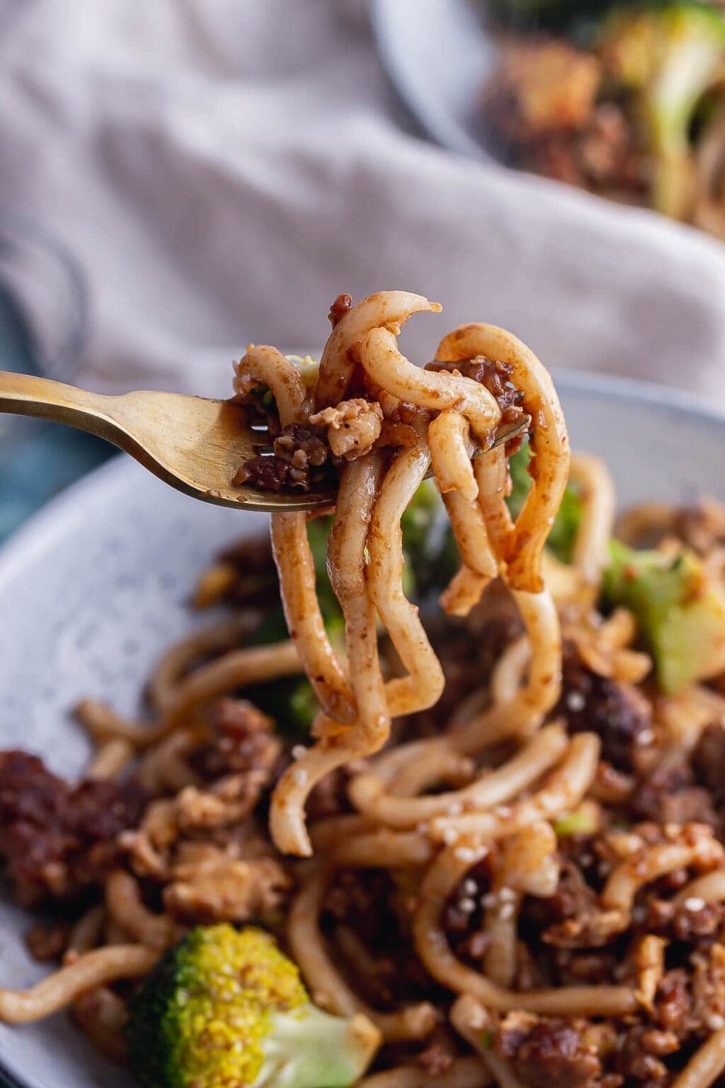 Egg Fried Noodles with Pork • The Cook Report