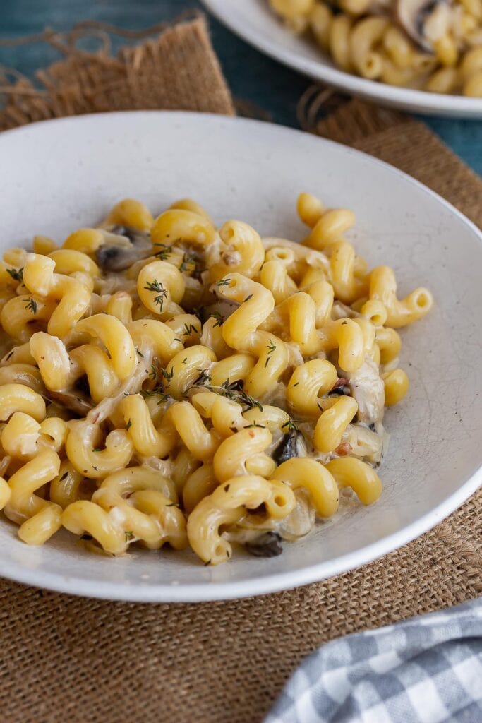 Close up of pasta in a white bowl