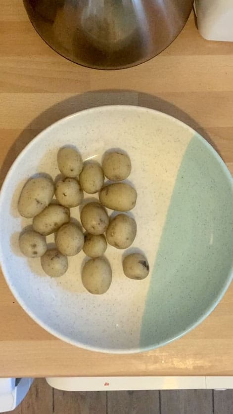 Overhead shot of bowl with new potatoes