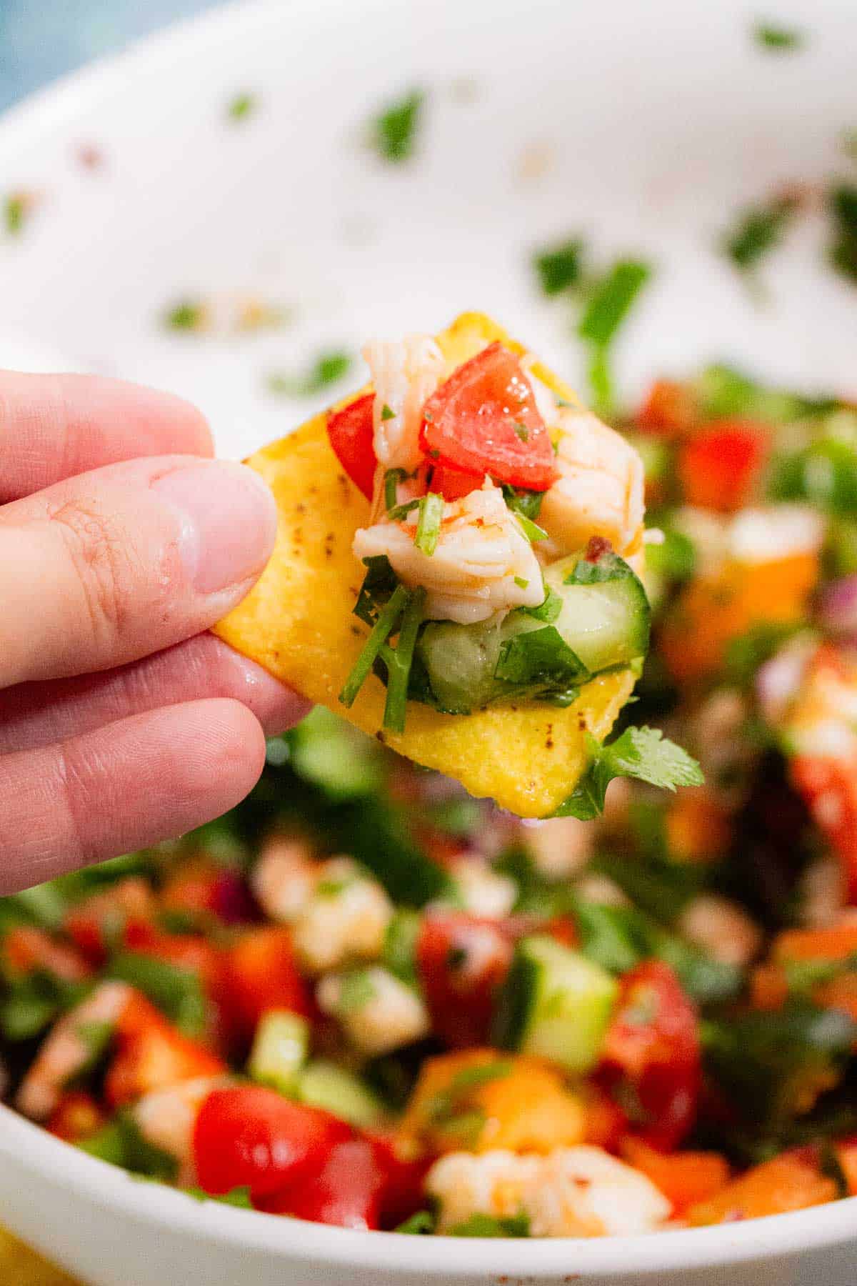 Hand holding a tortilla chip with salad